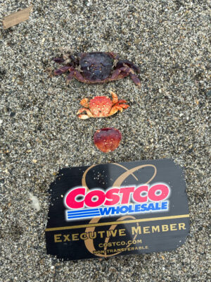 Edmonds, WA