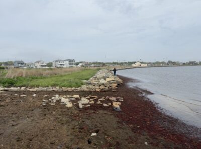 Patchogue, NY