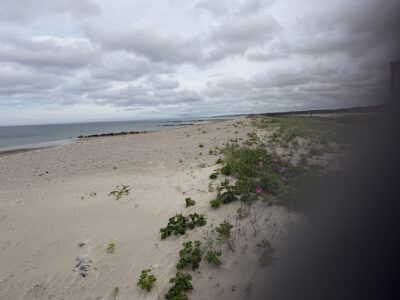Sandwich, MA