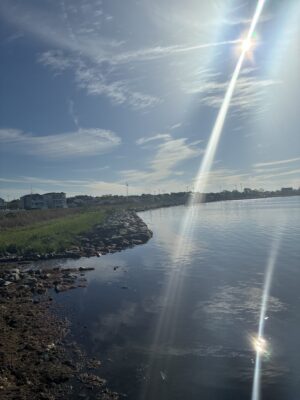 Patchogue, NY