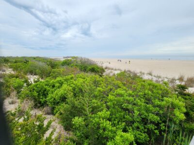Cape May Point, NJ