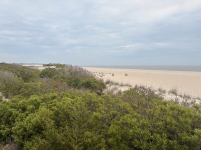 Cape May Point, NJ
