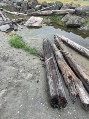 Clinton, WA