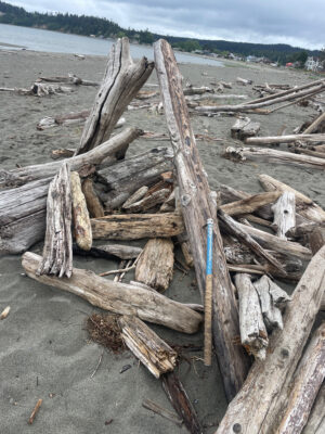 Clinton, WA