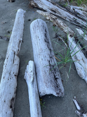 Anacortes, WA