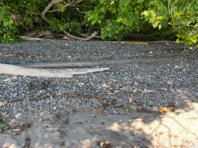 Anacortes, WA