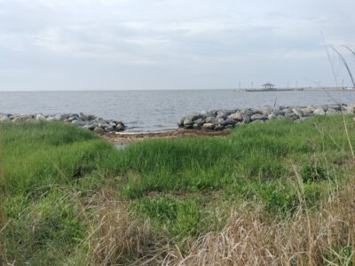 Patchogue, NY