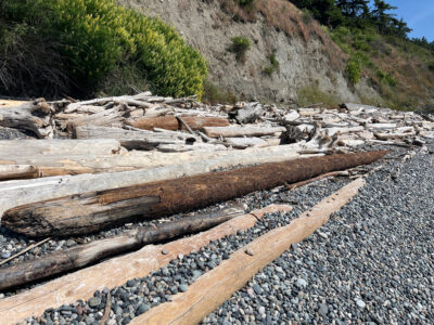 Lopez Island, WA