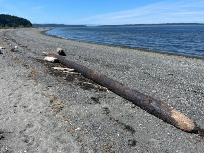Lopez Island, WA