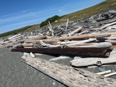 Lopez Island, WA