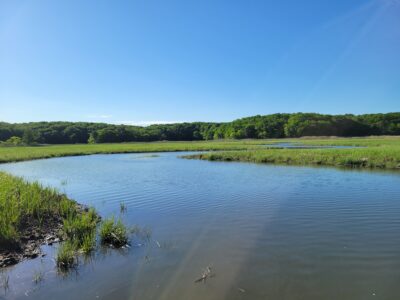 Matawan, NJ