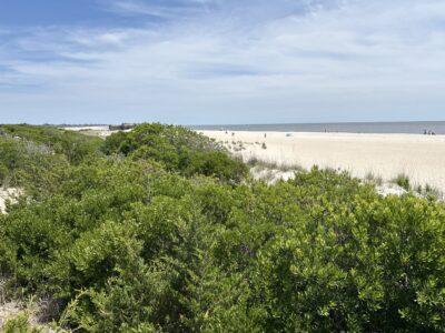Cape May Point, NJ