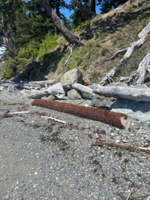 Lopez Island, WA