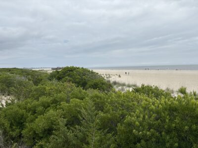Cape May Point, NJ