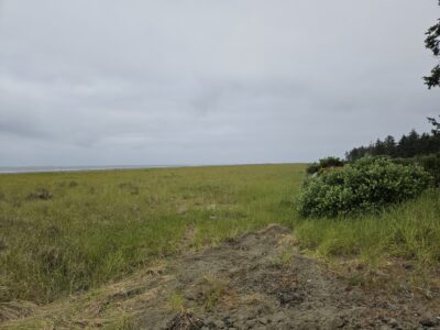 Grayland, WA