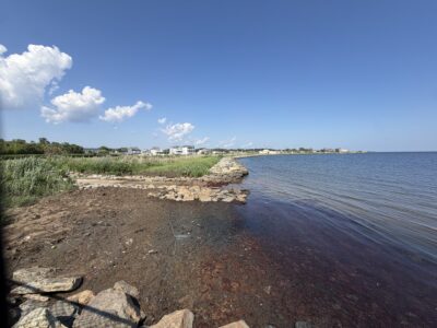 Patchogue, NY