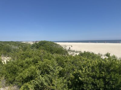 Cape May Point, NJ