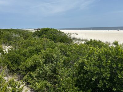 Cape May Point, NJ