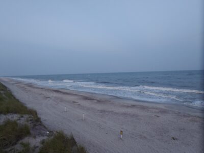 Patchogue, NY
