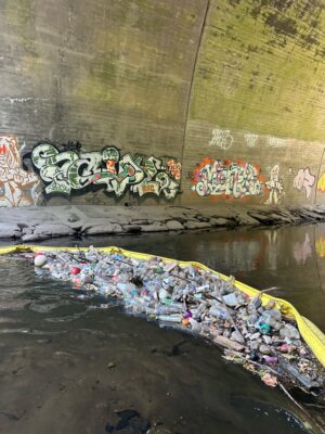 Bronx County, NY