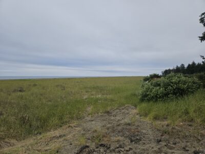 Grayland, WA