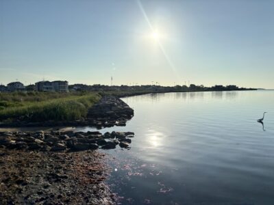Patchogue, NY