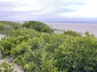 Cape May Point, NJ
