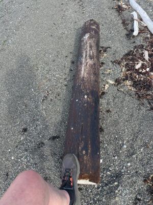 Lopez Island, WA