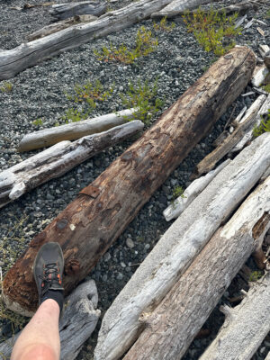 Lopez Island, WA