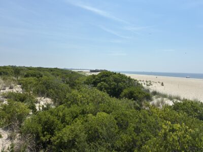 Cape May Point, NJ