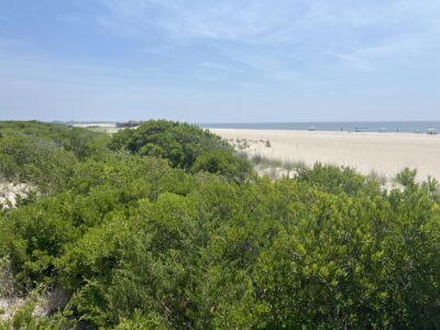 Cape May Point, NJ