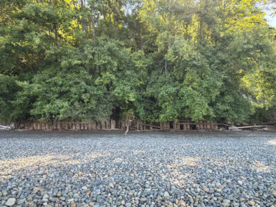 Camano, WA