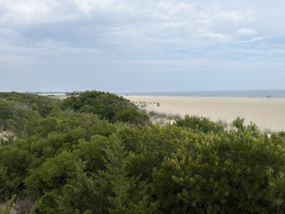 Cape May Point, NJ