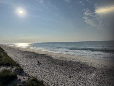 Patchogue, NY
