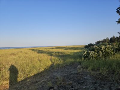 Grayland, WA