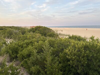 Cape May Point, NJ