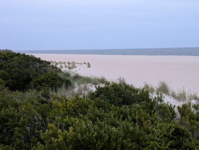 Cape May Point, NJ