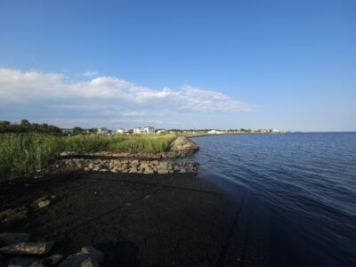 Patchogue, NY