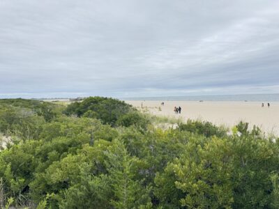 Cape May Point, NJ