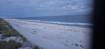 Patchogue, NY