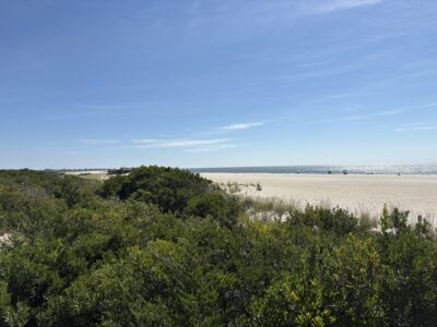 Cape May Point, NJ