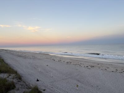 Patchogue, NY