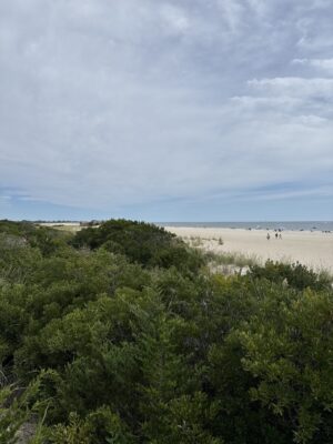 Cape May Point, NJ