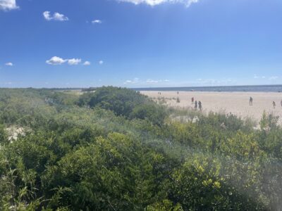 Cape May Point, NJ