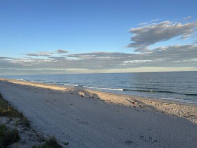 Patchogue, NY