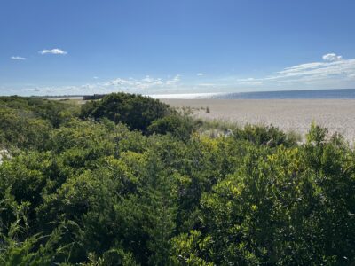 Cape May Point, NJ
