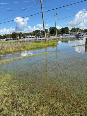 Deal Island Historic District, MD