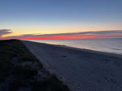 Patchogue, NY