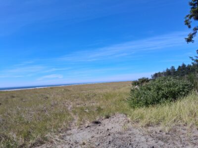 Grayland, WA