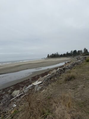 Grayland, WA